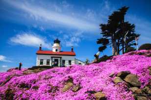 Battery Point Lighthouse-6727